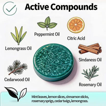 Get Rid of Rats & Mice — Without Poison, Traps, or Chemicals